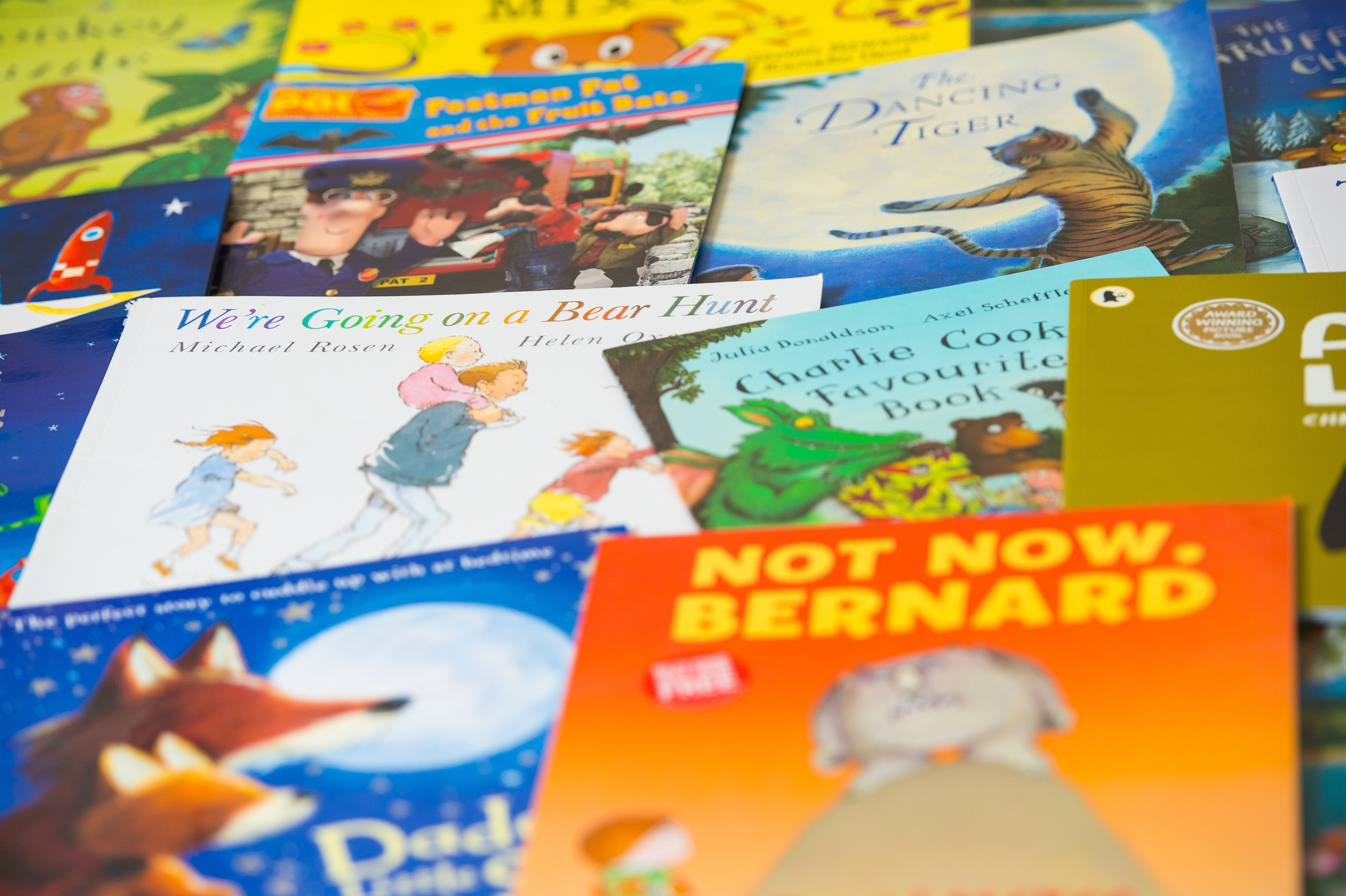 ‘It’s crucial for kids like mine to learn about differences in the books they read’