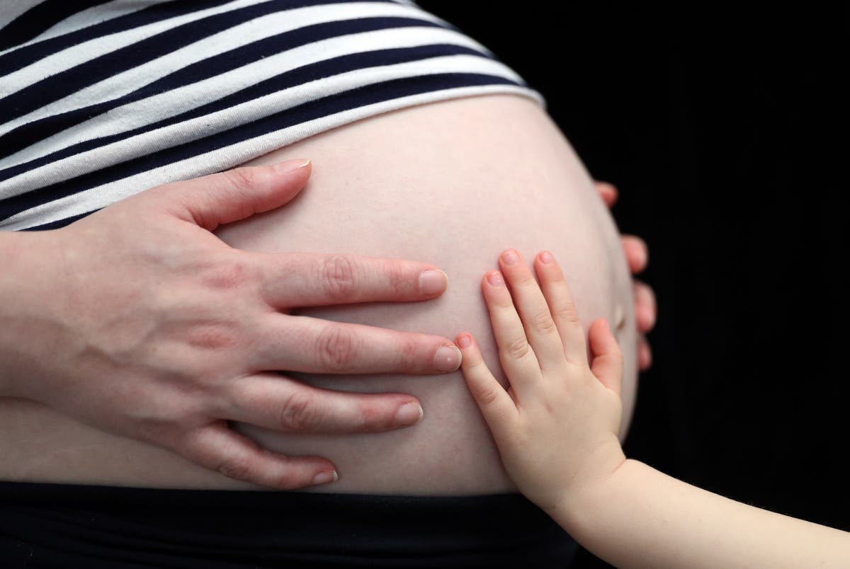 Pregnant women &lsquo;should be regarded as risk group and be given vaccines quickly&rsquo;