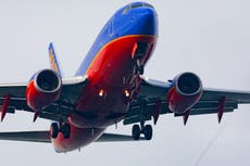 Airline accused of letting emotional support dog die on flight