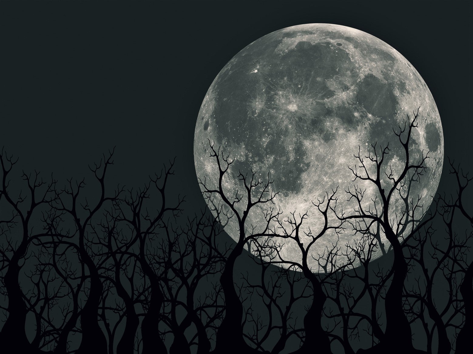 The full moon on 18 December will take place on one of the longest nights of the year