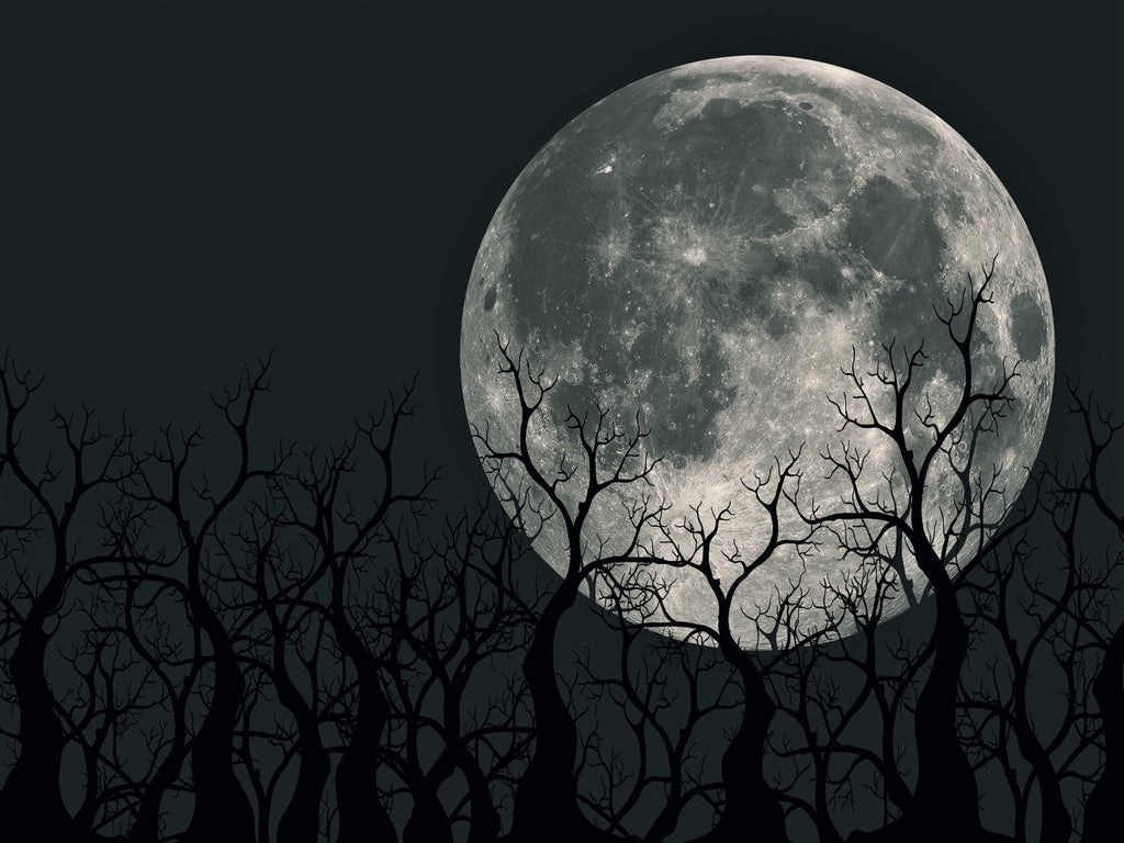 Cold Moon: How to see longest full moon of the year this weekend