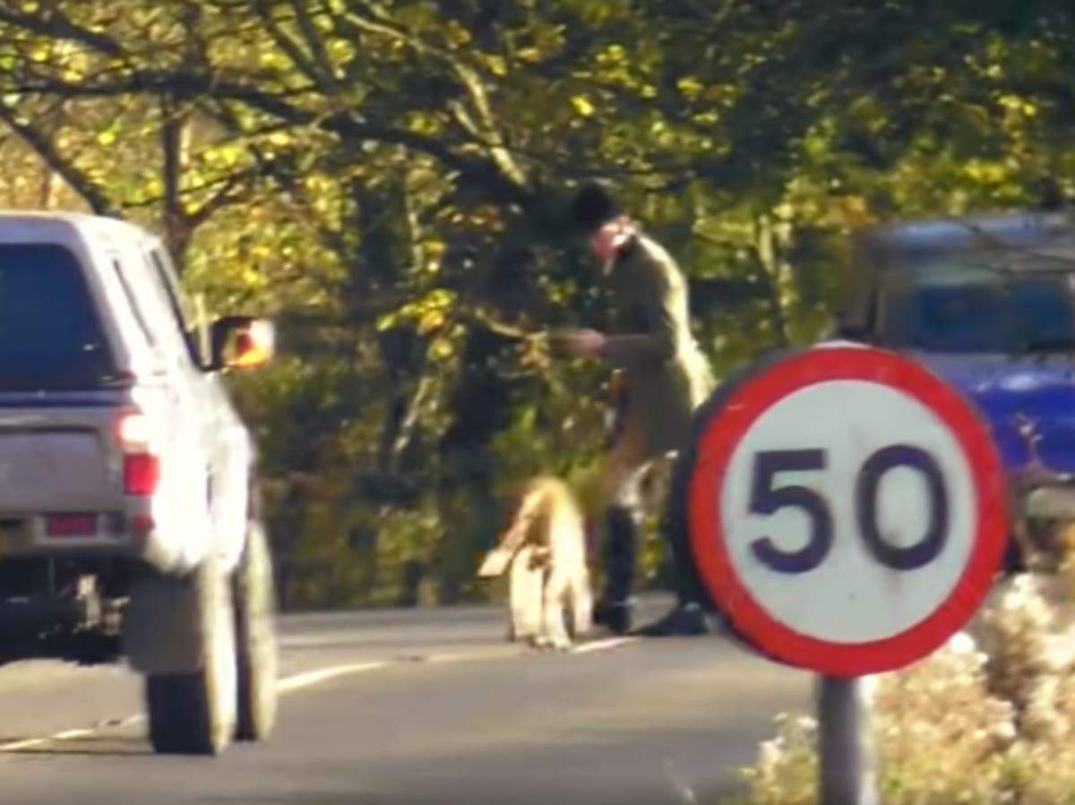 Someone will be killed by hunts on roads, crash expert warns