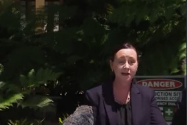 <p>Queensland health minister Yvette D’Ath stopped mid-sentence and said: ‘Okay, can somebody please get that spider off?’ </p>