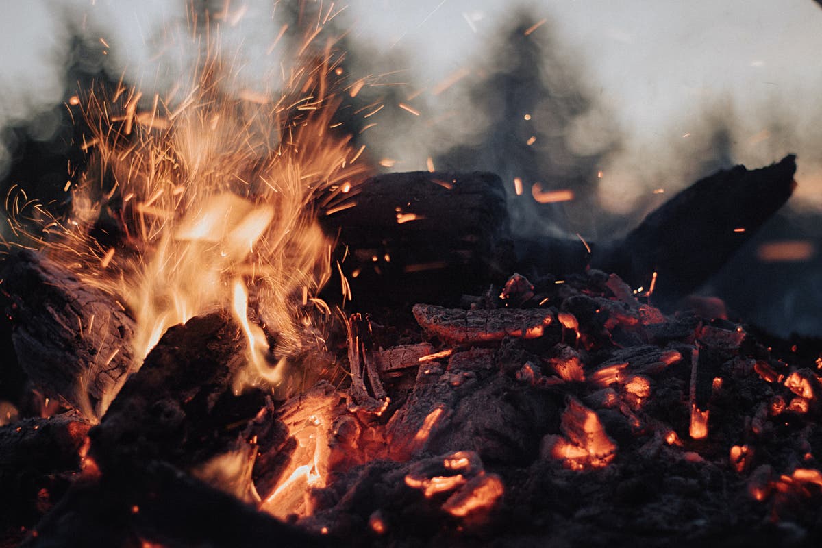 Illegal logging and charcoal businesses on the rise in Northern Uganda