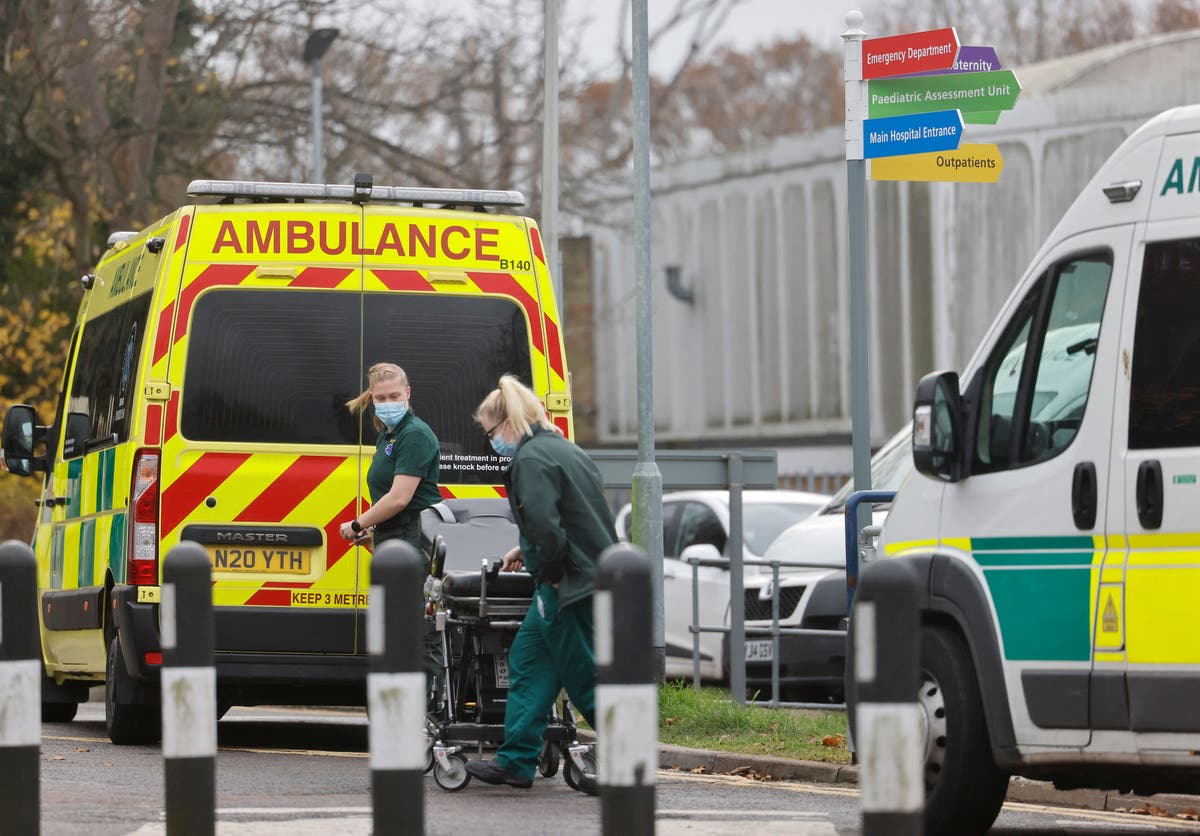 Covid: More restrictions needed to stop hospital admissions hitting 3,000 a day, experts say