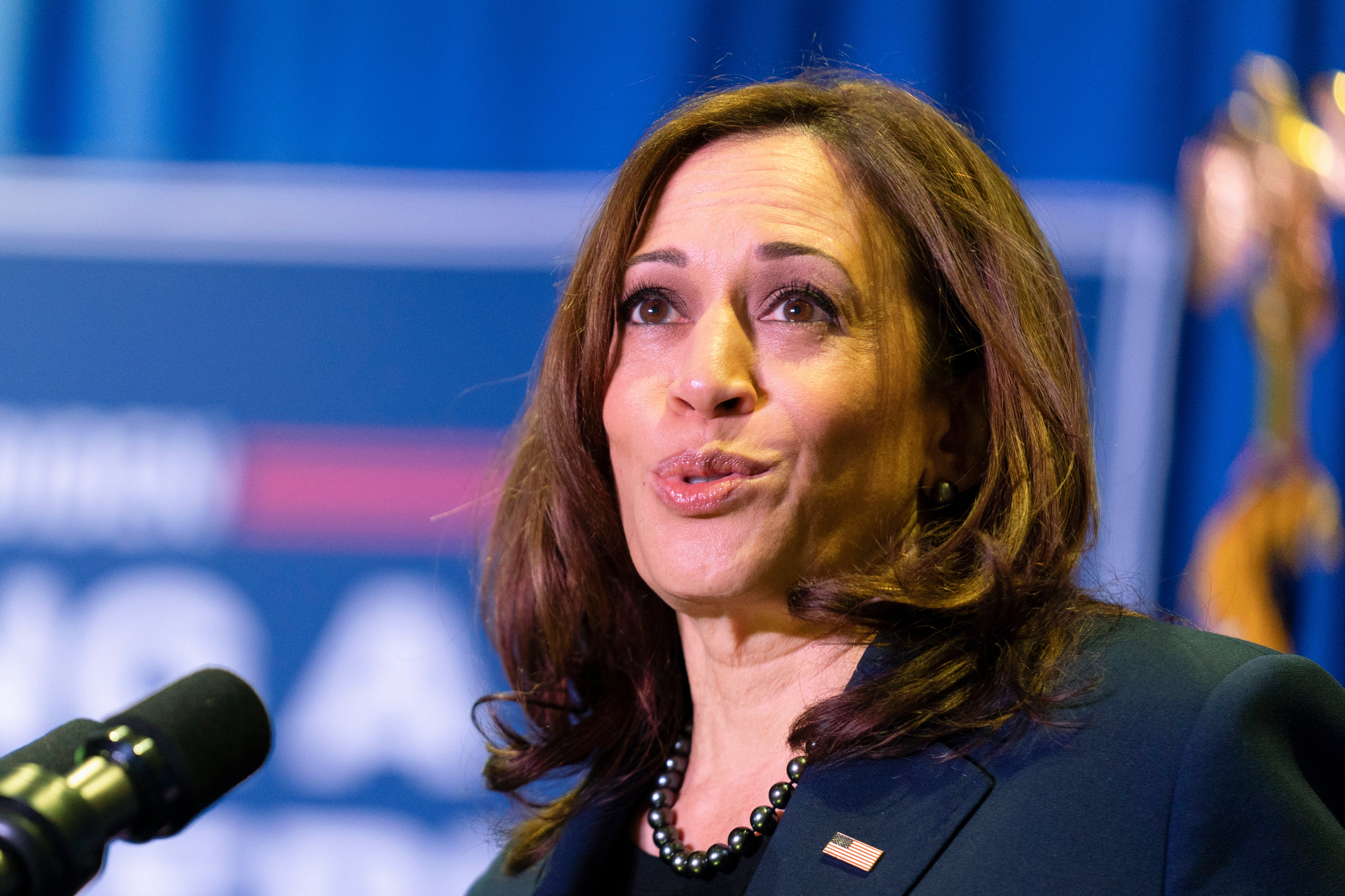File: Vice president Kamala Harris said the administration failed to see the ‘awful’ variants coming