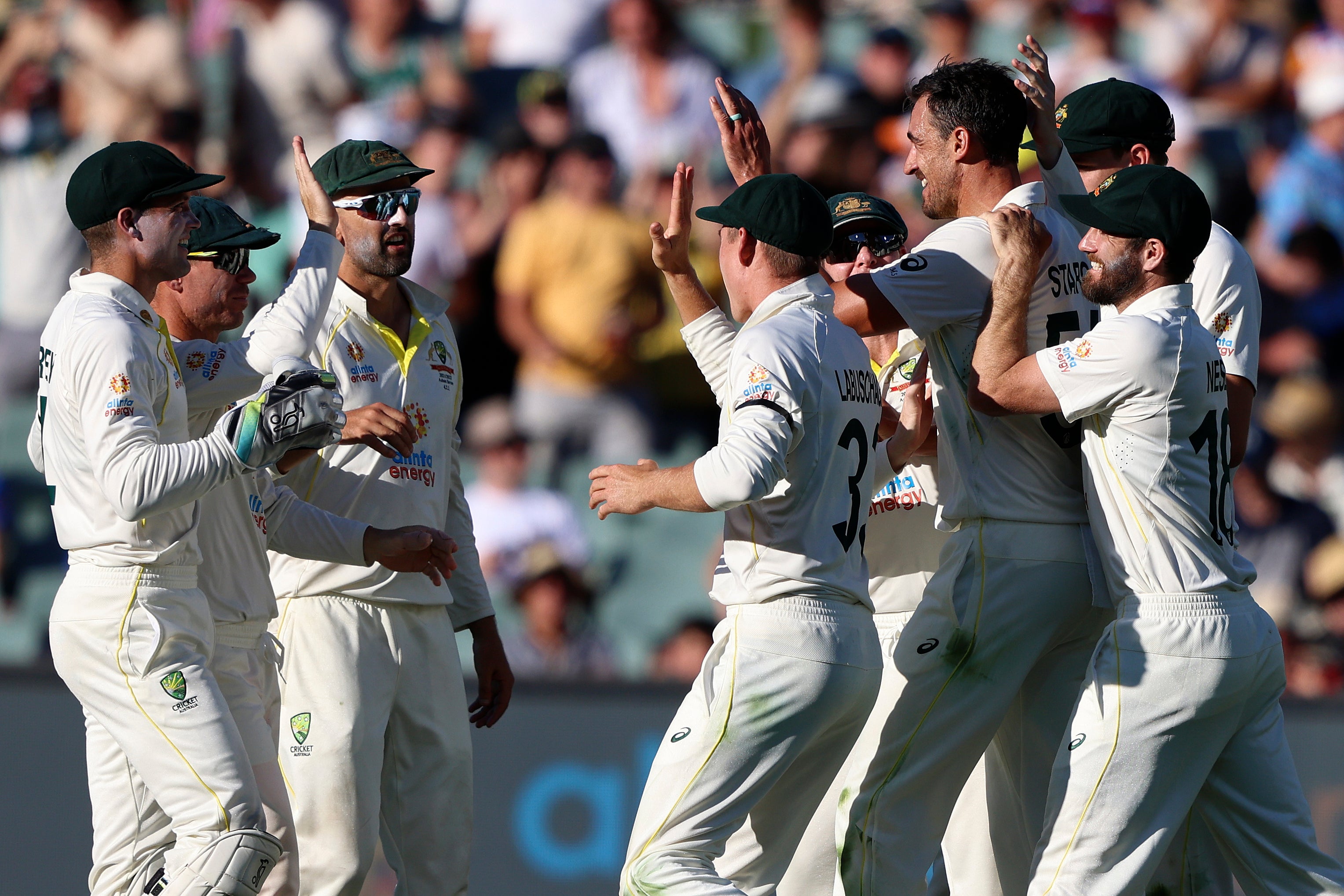Australian players celebrate the wicket of England’s Jos Buttler (James Elsby/AP)