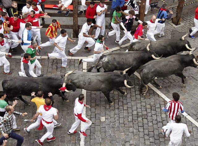 <p>Several ‘mozos’ or runners are chased by bulls in Pamplona in 2016</p>