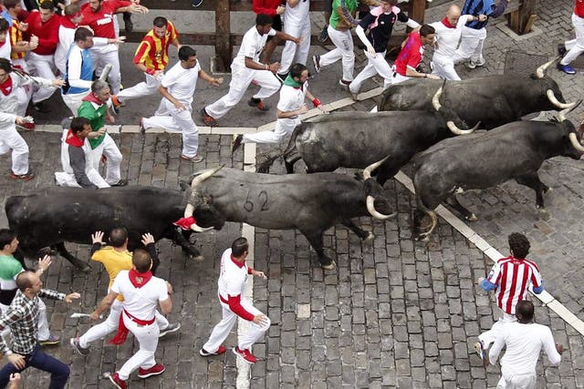 <p>Several ‘mozos’ or runners are chased by bulls in Pamplona in 2016</p>