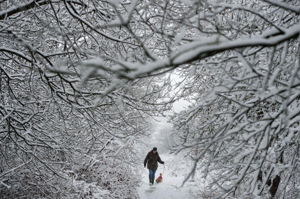 Is the UK in for a white Christmas?