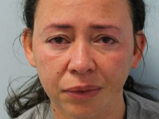 <p>The 43-year-old nursing student ‘blacked out’ while driving </p>