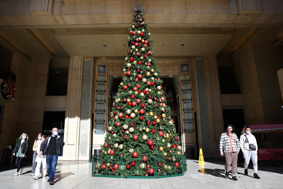Covid news - live: Omicron &lsquo;raging around the world&rsquo; and Christmas travel will make it worse, says Fauci 