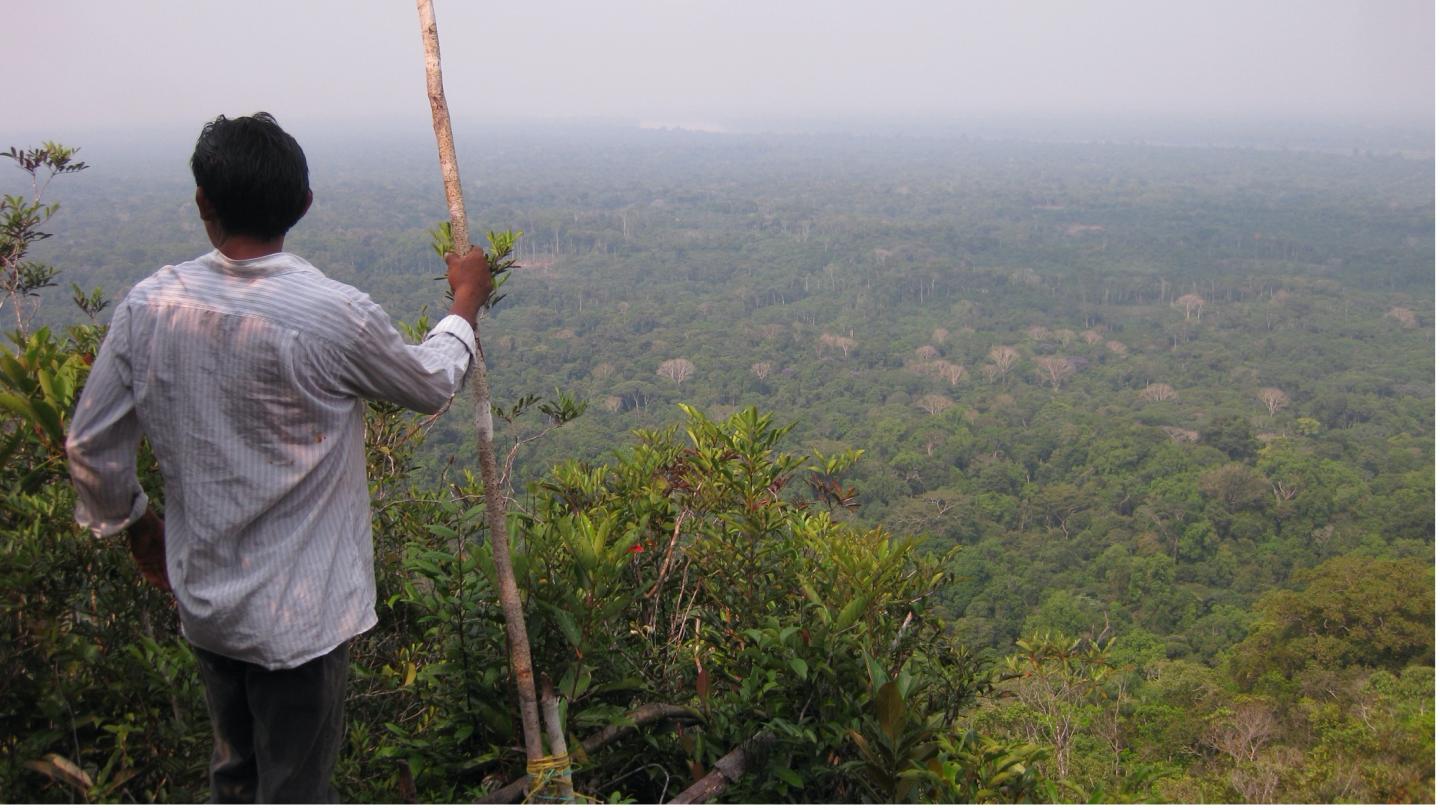 A Yucuna man overlooking Indigenous Lands in the Amazonian rainforest, where many languages are predicted to go extinct by the end of the 21st century