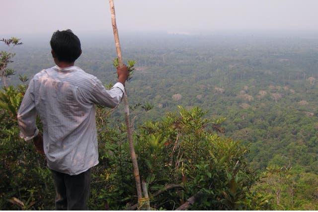 <p>A Yucuna man overlooking Indigenous Lands in the Amazonian rainforest, where many languages are predicted to go extinct by the end of the 21st century</p>