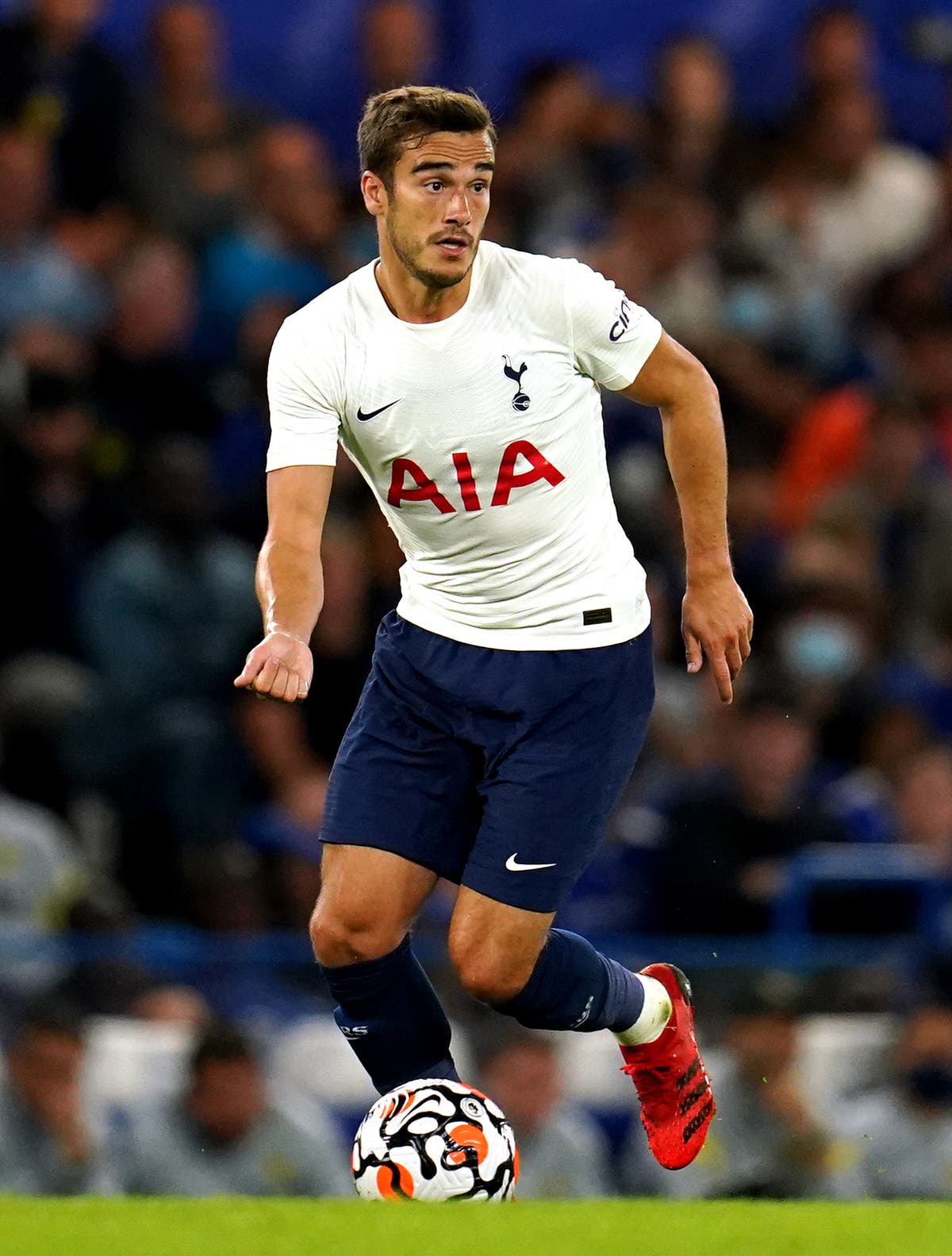 Harry Winks impresses Antonio Conte with commitment and desire