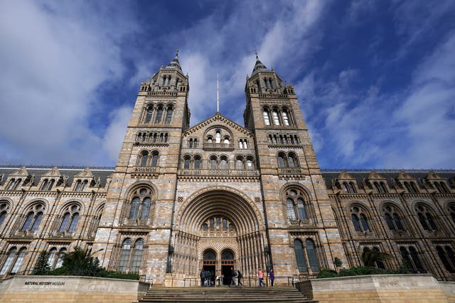 The Natural History Museum is being forced to close for a week due to ‘front-of-house shortages’ linked to Covid-19 (John Walton/PA)