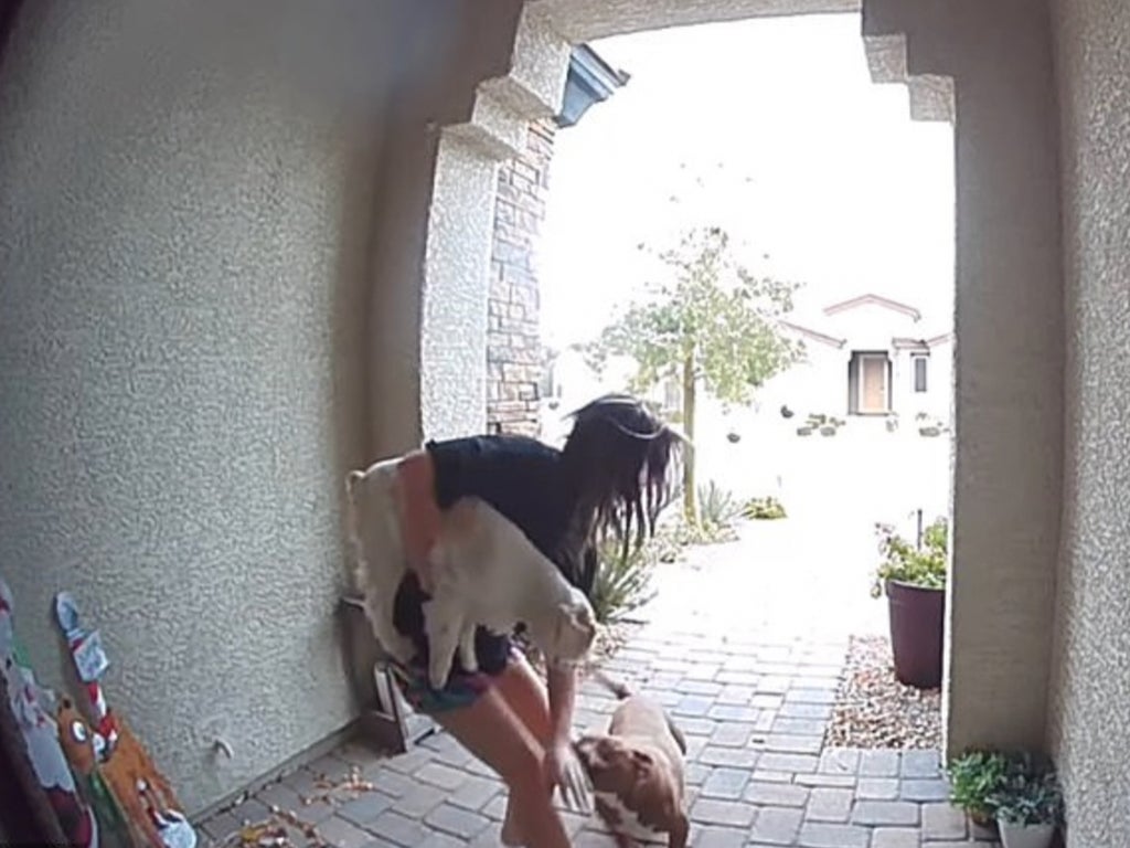Amazon worker saves girl from pit bull attack in heroics caught on doorbell camera