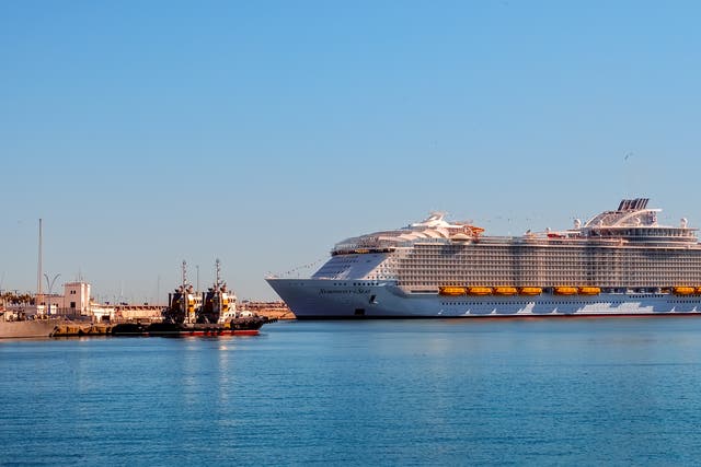 <p>The Symphony of the Seas has capacity for 9,000 people</p>