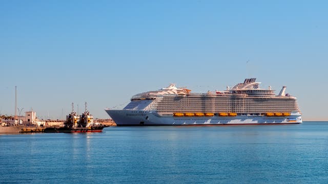 <p>The Symphony of the Seas had an outbreak last month </p>