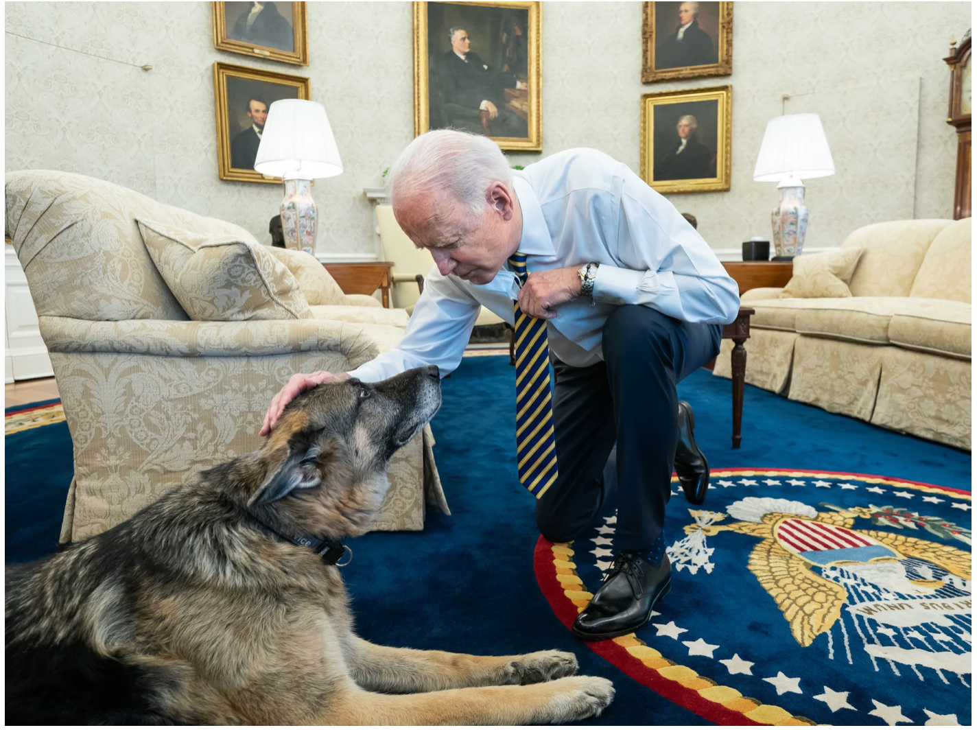 President Biden confers with his late senior Canine-American adviser, Champ, in the Oval Office