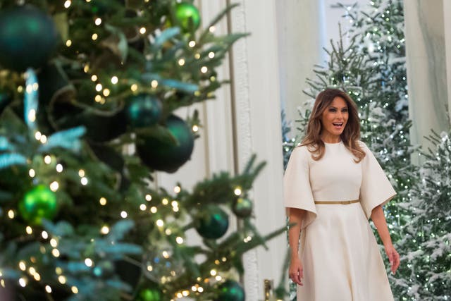 <p>File: Melania Trump earlier launched her own NFT platform, offering a digital watercolour painting of her own eyes </p>