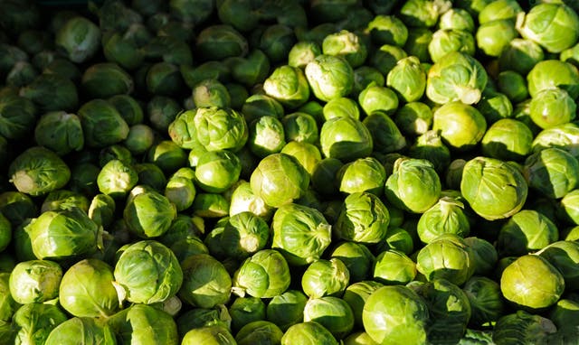 <p>It’s time to change sprouts’ bad rap </p>