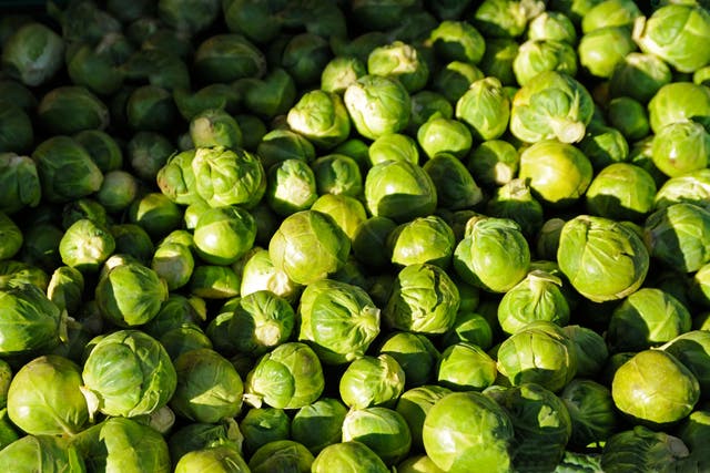 <p>It’s time to change sprouts’ bad rap </p>