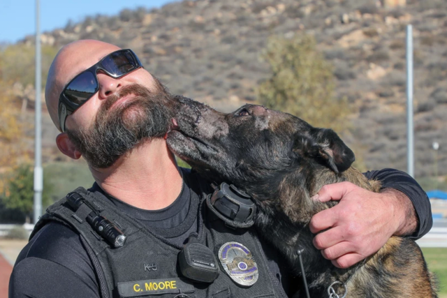 <p>Escondido police Officer Chad Moore and his police dog</p>
