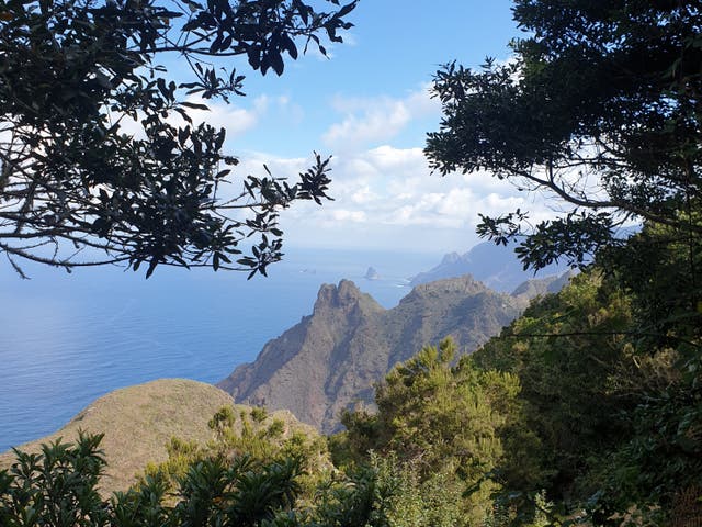 <p>Macizo de Anaga in northeast Tenerife</p>