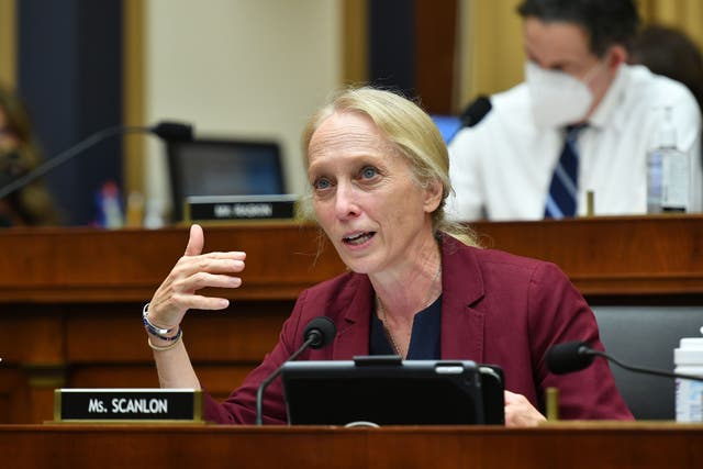 <p>File: Representative  Mary Gay Scanlon speaking during a House Judiciary Subcommittee hearing on 29 July 2020</p>
