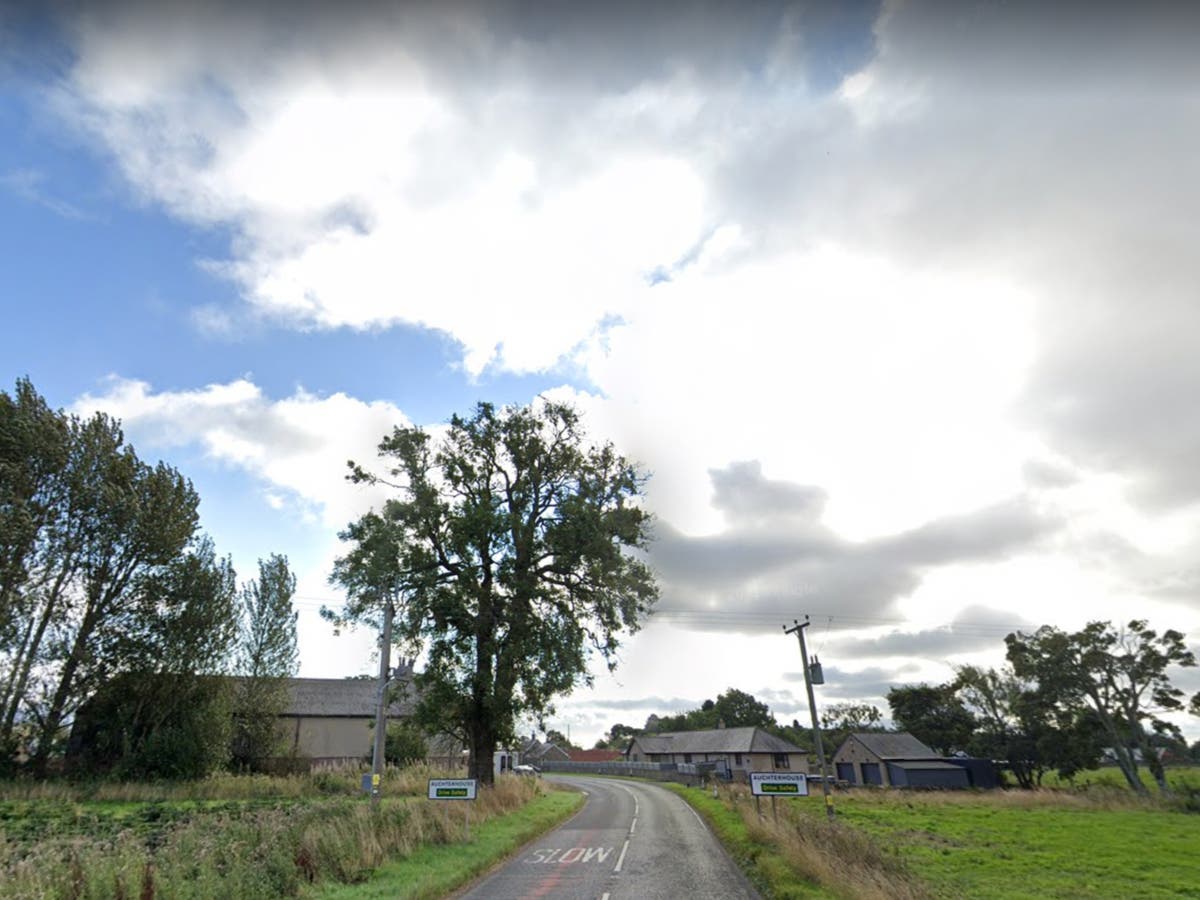 Auchterhouse dog attack: Man mauled and pronounced dead at the scene