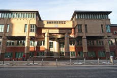 Father admits dog attack death charge over killing of 12-day-old baby