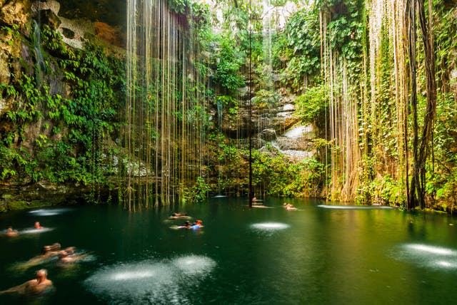 <p>A cenote on Mexico’s Caribbean coast</p>