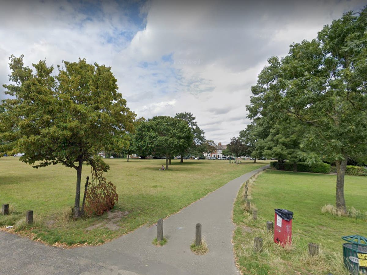 Boy, 13, arrested on suspicion of raping woman after dog walker stops attack