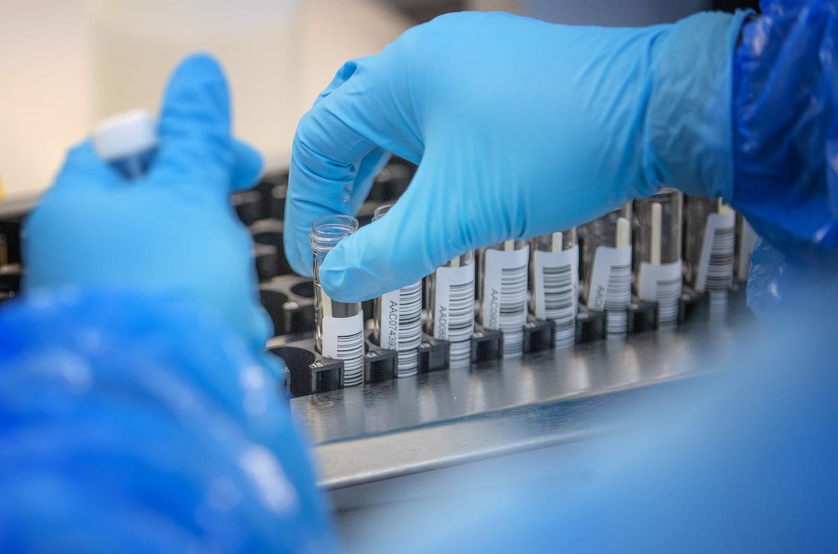 Scotland records biggest daily rise in Omicron cases