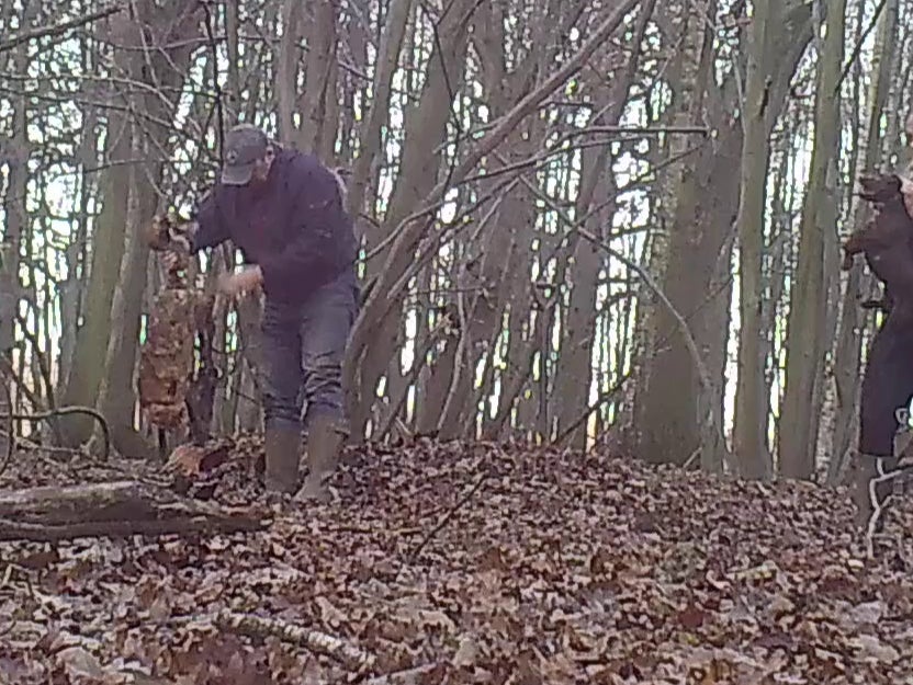 The man holds up the fox by its tail; just off screen the woman holds up a terrier