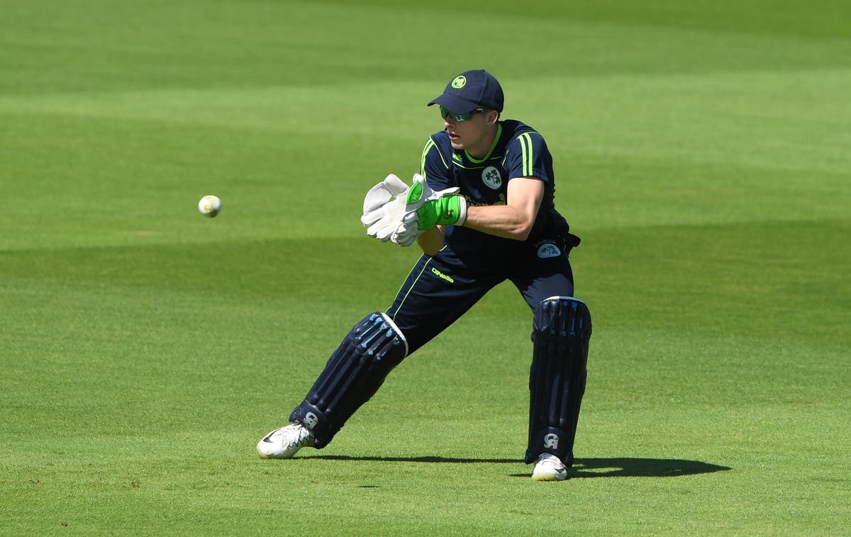 Ireland draw Twenty20 series with victory over USA