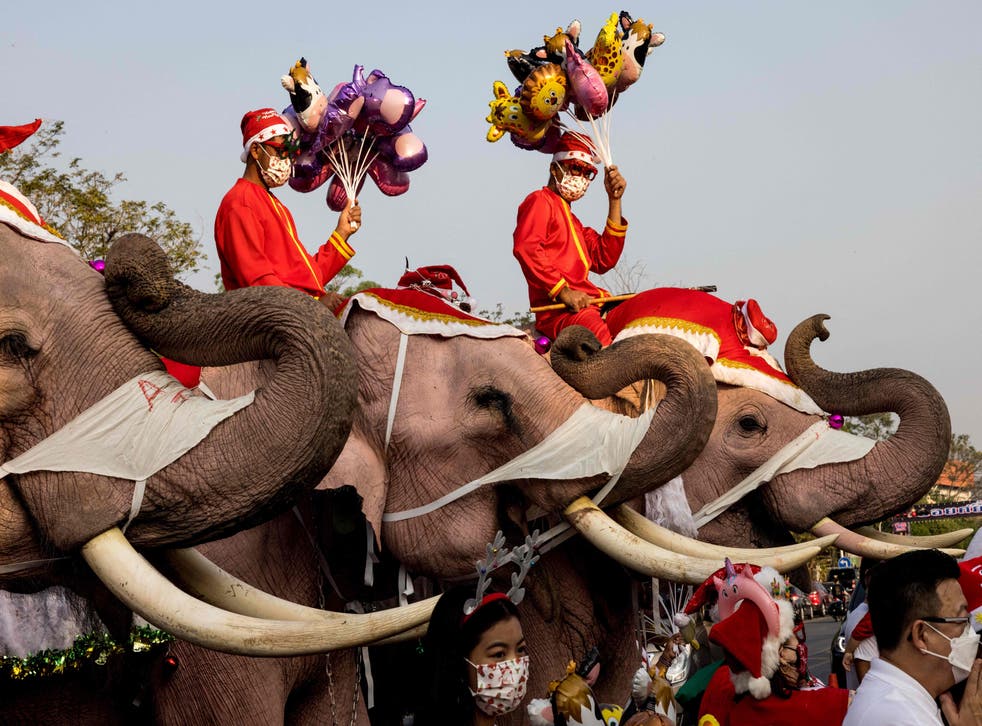 <p>Mahouts and their elephants pose for children during Christmas celebrations at the Jirasart Witthaya school in Ayutthaya on 24 December 2021 </p>