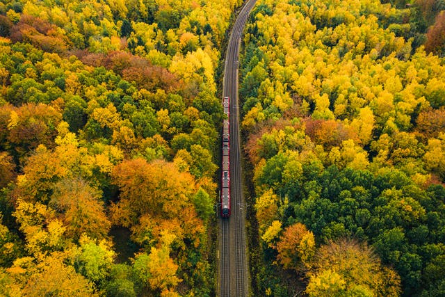 <p>Autumn is a great time to travel </p>
