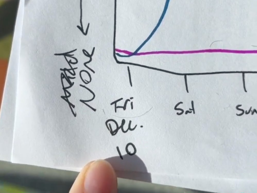 <p>Ariel Dumas explained with a chart how she and her partner tested positive for Covid</p>