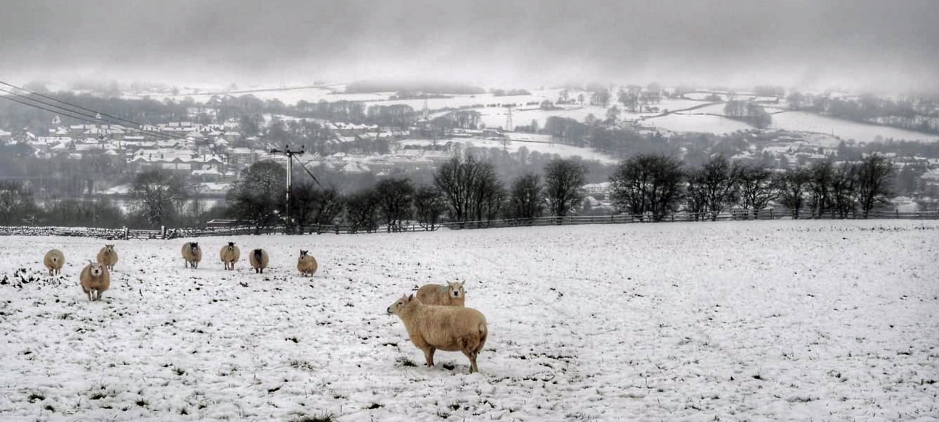 Parts of the UK saw a white Christmas this year