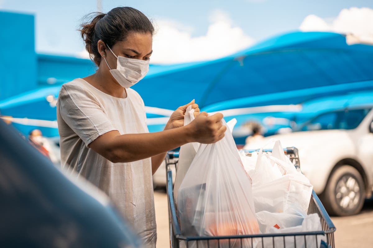 Decline in plastic bag use is driven by money not climate crisis, study suggests