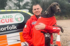 Missing search and rescue dog Juno reunited with owner six days after ‘vanishing’ in Norfolk