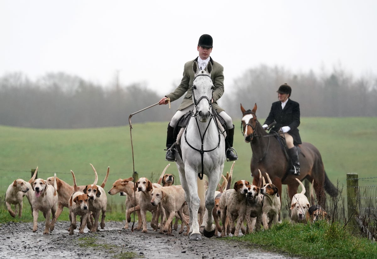 New call for ban on trail hunting with dogs amid Boxing Day parades