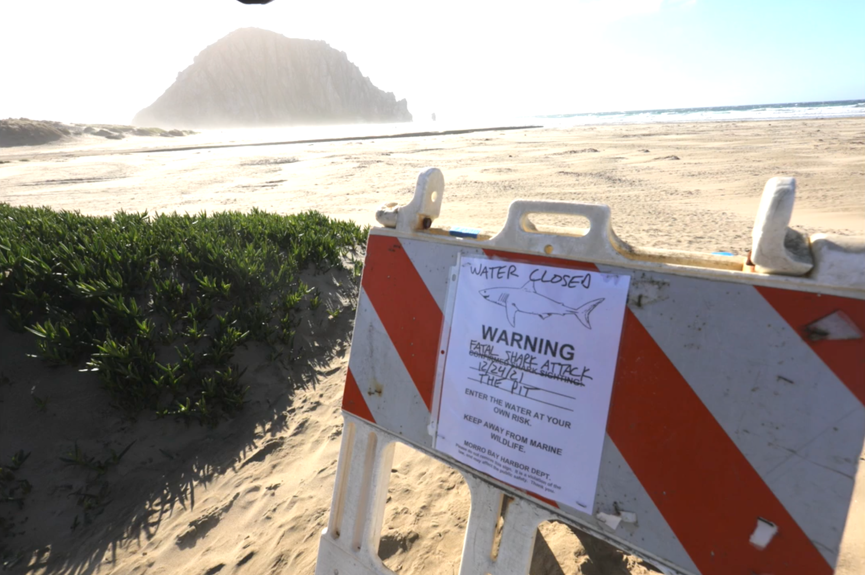 Police ordered beachgoers to stay out of the water after a fatal shark attack in Morro Bay, California