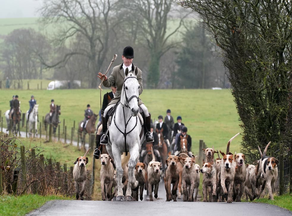 Riders and hounds taking part in the Kennels Lanarkshire & Renfrewshire meet in Houston, Scotland (Andrew Milligan/PA)