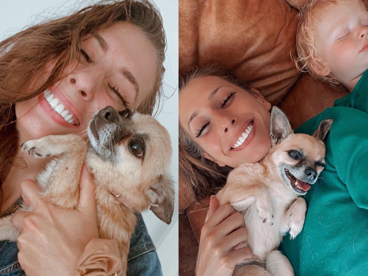 &lsquo;Our hearts are broken&rsquo;: Stacey Solomon reveals family dog Theo has died