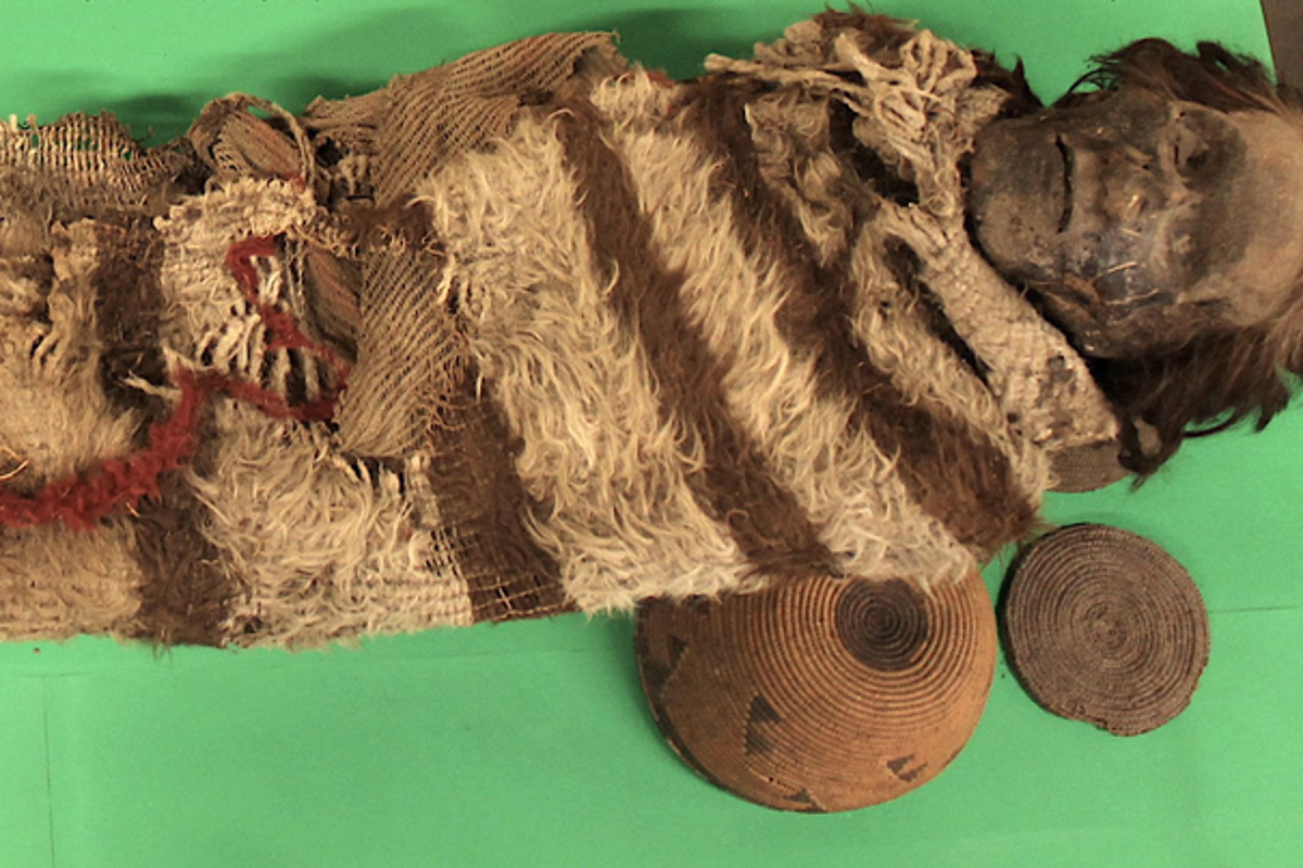 Human DNA recovered from ‘lice glue’ on ancient mummies shed light on South American ancestry