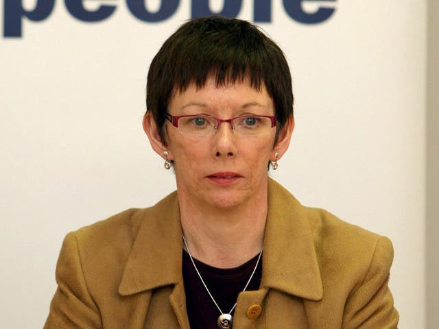 <p>Former Northern Ireland senior medical officer Dr Elizabeth Mitchell drafted a contingency plan to respond to an anticipated flu outbreak in 1997 </p>