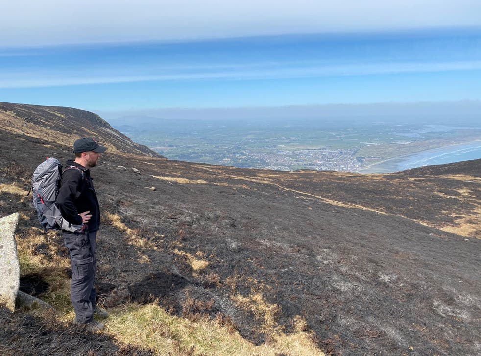 South Down countryside manager Patrick Lynch looks out over the burnt landscape of the Mournes (Patrick Lynch/PA)